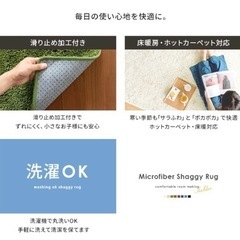 【500円】ラグマット緑カーペットの画像