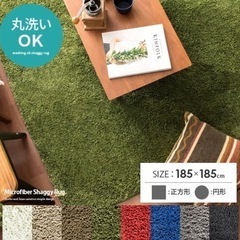 【500円】ラグマット緑カーペットの画像