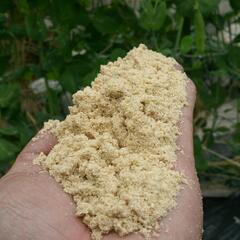 ■米ぬか　米糠　家庭菜園　貸し農園　釣り　ぬか漬け　土壌改善　野菜作り　オーガニック　有機栽培　元気な野菜の画像