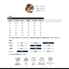 【試着のみ美品】レディース　セットアップの画像