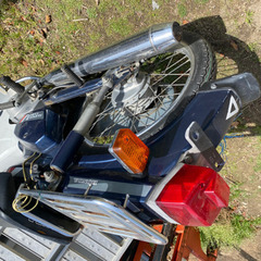 購入者確定の画像