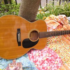 　King 【常田愛機】70ｓジャパンビンテージ激鳴り低弦高