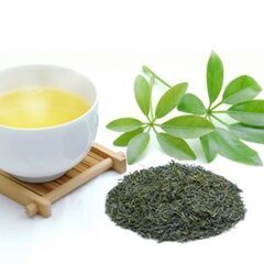 毎年人気の短期のお仕事！ 《5月下旬～６月中旬までの短期★》 ★...
