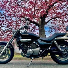 エリミネーター250v