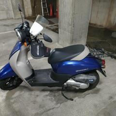 ホンダ　TODAYトゥデイ　原付　AF67型の画像