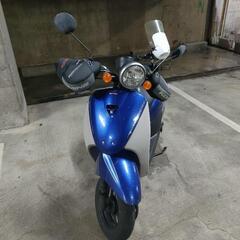 ホンダ　TODAYトゥデイ　原付　AF67型の画像