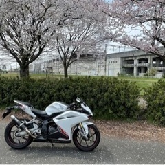 HONDA CBR250RR 自賠責たっぷり付き　ホンダドリーム購入品の画像