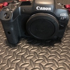 Canon R5 ボディの画像