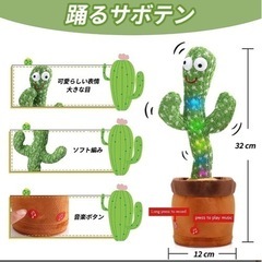 踊るサボテン 