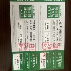 琉球海炎祭入場券