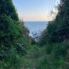 横須賀、三浦、横浜、