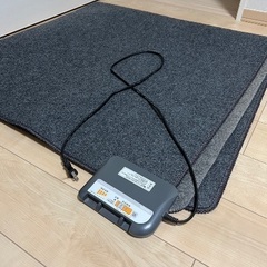 ホットカーペットお譲りします。の画像