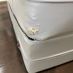 犬のステップ台の画像