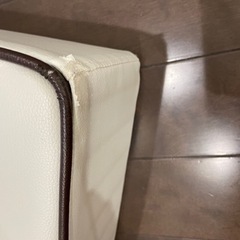 犬のステップ台の画像