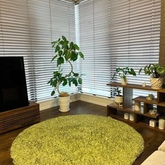 直径約150㎝のラグ