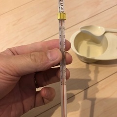 インコ　挿し餌　給餌　セット　オカメインコの画像