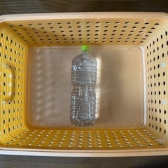 【4/23まで】オレンジのカゴの画像