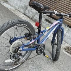 子供用２０インチ　ＧＴアルミフレームの画像