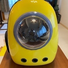 【値下げします】ペット様リュック　バッグ　猫、小型犬、鳥など