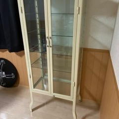 【ダルトン /ドクターキャビネット】の画像