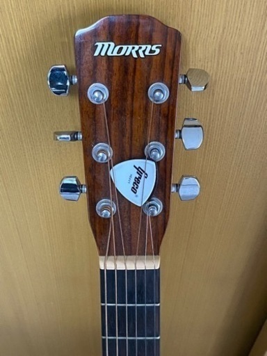 【中古・美品】Morris モーリス アコースティックギター F-01NAT ソフトケース付