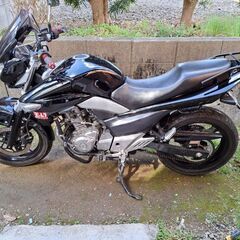 GSR250 