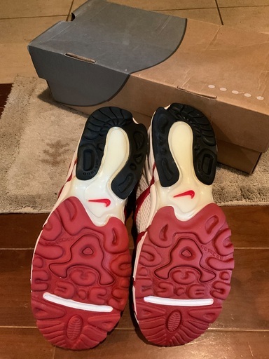 NIKE スニーカー　エアクキニ