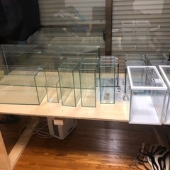 値下げ!! 中古水槽　まとめて安く出品します