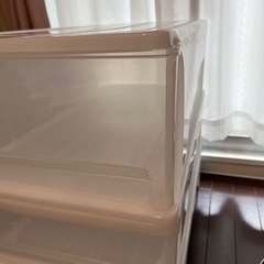 4月中引き取り希望★収納ケース(ニトリ)  セレスFDの画像