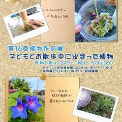 子どもとお散歩、出会った植物