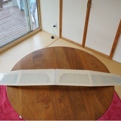 グライダーの羽根(カーボン？スパー付き)の画像