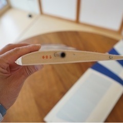 グライダーの羽根(カーボン？スパー付き)の画像