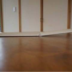 グライダーの羽根(カーボン？スパー付き)の画像