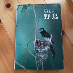 【決まりました】しまねの野鳥