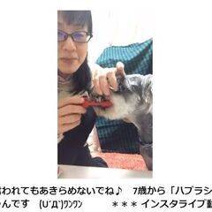 【オンライン講座】愛犬歯みがき講座  // 3歳以上の８割が歯周病 /// 愛犬の歯みがきに自信あり♪といえるように＼(^o^)／（うちの子ケアのポイント指導）の画像