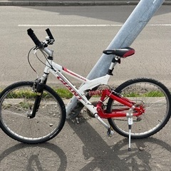 GIANT マウンテンバイク白