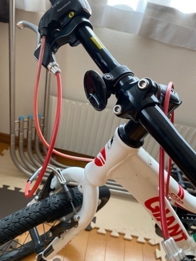 子ども用　自転車　GIANT snap20