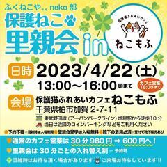 ほごねこ里親会@柏