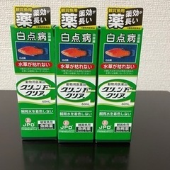 未使用　グリーンFクリアーの画像