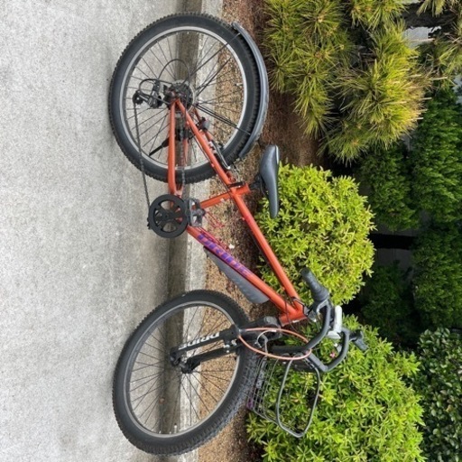 自転車　24インチ