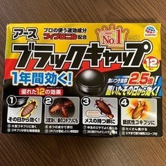 アース ブラックキャップ