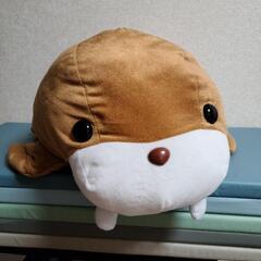 大きな　セイウチ