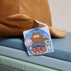 大きな　セイウチの画像