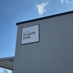 観葉草木店PLANTS2306です(^^)/ - 津市