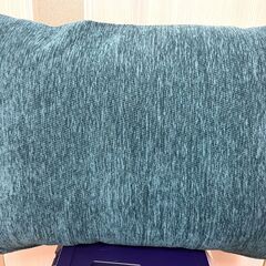 【新品】ムーミン 海辺のピクニック クッションの画像