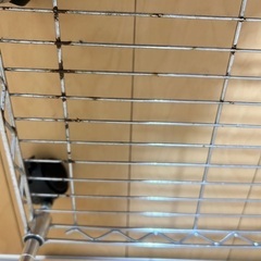 金属製キャスター付きラックの画像