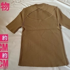 アンビエント　半袖Tシャツ　F　ベージュ　ニット　バックオープン　スリーブの画像