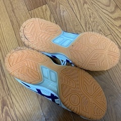 バドミントン　シューズの画像