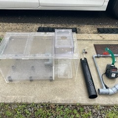 オーバーフロー濾過層　アロワナ古代魚　レイシーエイハイム