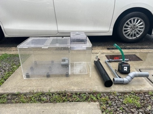 オーバーフロー濾過層　アロワナ古代魚　レイシーエイハイム